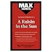 A Raisin in the Sun (MAXNotes Literature Guides)