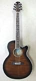 TAKAMINE Cooder TCP-560/VTS GARM^[