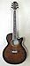 TAKAMINE Cooder TCP-560/VTS GARM^[