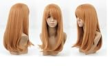 ちはやふる 綾瀬 千早(あやせ ちはや) コスプレウィッグ +ウイッグネット