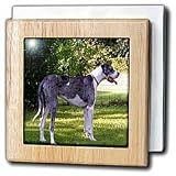 Blue Merle - 6 Inch Tile Napkin Holder