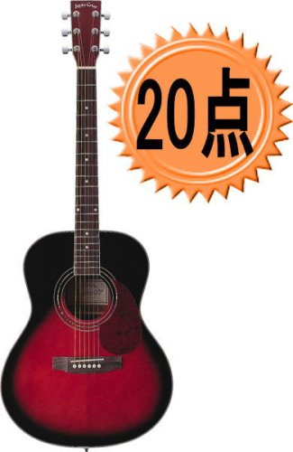 SepiaCrue アコースティックギター 初心者入門 20点セット F-200-20/WRS-DVD-20P カラー WRS/ウィナードサンバースト