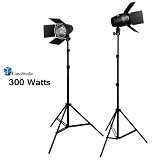 LimoStudio 2 Photography Photo Studio Lighting kit, Photo Video Light Barndoor Light with Dimmer Switch, LMS682