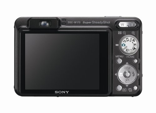 Sony Cybershot DSCW170 & B 10.1MP Digital Camera with 5x Optical Zoom with Super Steady Shot (Black) image