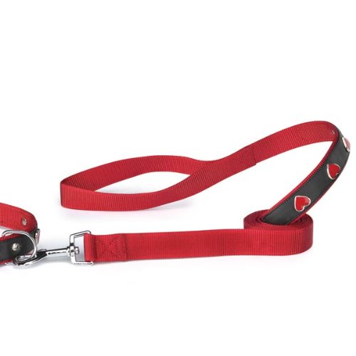 4 ft Valentine’s Day Heart Charm Dog Leash