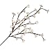Kitchen & Housewares : White Cherry Blossoms on Branch Decorative Electric Light Set. Click to see additional image