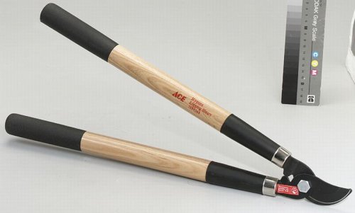 Lopper Bypass 21 Inches Long