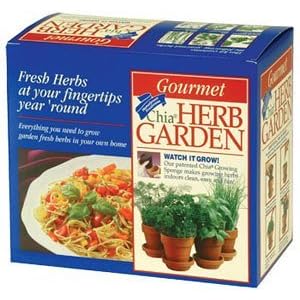 Chia Terra Cotta Herb Garden, 1 Kit