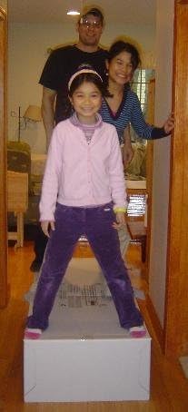 Battic Door Attic Stair Cover 25X54 R-50 by Battic Door