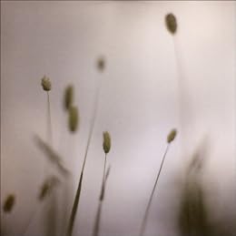Peter Broderick Foto 4