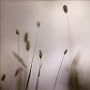 Float ~ Peter Broderick