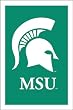 Michigan State University Spartans Flag - Regular Size