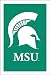 Michigan State University Spartans Flag - Regular Size