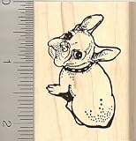 Cute French Bulldog Rubber Stamp - Wood Mounted