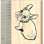 Cute French Bulldog Rubber Stamp - Wood Mounted