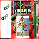 New Trademark Garden Stake Kit Tomato Stakes 6 Stakes Plus Accessories High Quality Fiberglass