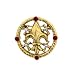 Blessed Flower of the Lily Stem Pin