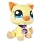The Littlest Pet Shop Stuff My Grand Daughter Owns