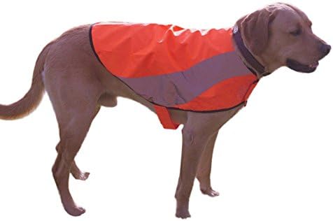 Reflective Dog Vest in Blaze Orange with Velcro Collar for Safety At Night and Hunting - Size Large