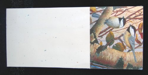Memo Pad, Chickadees
