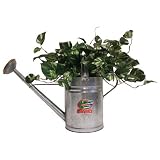 NCAA Florida Gators Watering Can