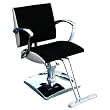 Salon Chair Ferrara Series