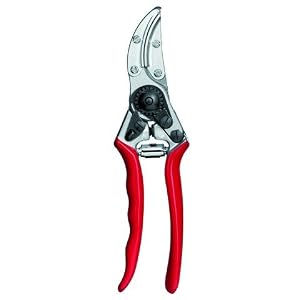 Felco 100 Cut and Hold Shear
