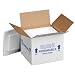 Polar Tech 205C Thermo Chill Insulated Carton with Foam Shipper, Small, 6" Length x 5" Width x 6-1/2" Depth (Case of 2)