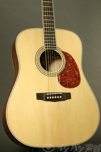Cort アコースティックギター Earth 200 NT ナチュナル
