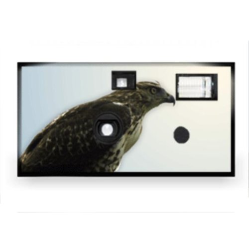 Animal Disposable Camera Case Pack 20