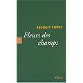 Fleurs des champs