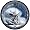 Dallas Cowboys