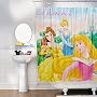 Disney Princess Shower Curtain