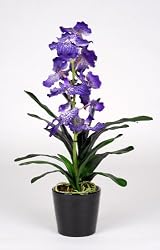 Artificial 25" Single Vanda Orchid