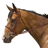 Kincade Padded Plain Raised Bridle Full