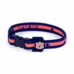 Titanium Auburn Bracelet