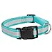 Guardian Gear Reflective Dog Collar, 18-26-Inch, Orange