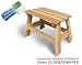 Lohasrus Kids Patio End Table MM20201- Passed Safety Standards ASTM F963-07, Unfinished Fir, for ages 2 to 6, Free Drawing Book