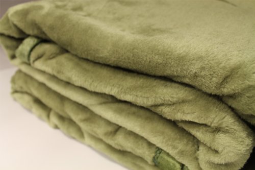 Everydayspecial Queen Size Solid Super Soft Plush Mink Blanket - Sage
