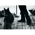 Joseph Beuys - Coyote
