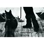 Joseph Beuys - Coyote