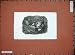 Animals Hunting Dog Trap Box Country Antique Print