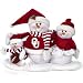 Oregon State Beavers 16.5x12 Table Top Snow Family - NCAA College Athletics