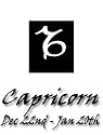 Fridge Magnets Set of 4-Capricorn-Astrology Horoscope-70mm x 45mm