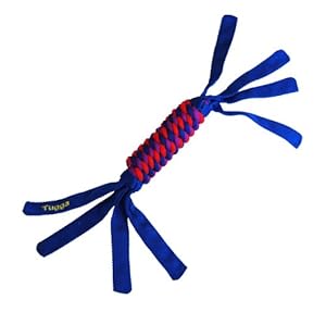 KONG Tugga Wubba Dog Toy, Large (Colors vary) KONG Tugga Wubba Dog Toy, Large (Colors vary)