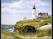 Safe Passage by Jacqueline Penney - Fine Art Print / Poster - 32.00 x 26.00