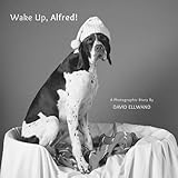 Wake up, Alfred! : a photographic story