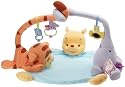 Fisher-Price Winnie the Pooh Cuddle & Snuggle Gym