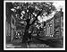 Photo Main Street Ellicott City Maryland 1890