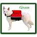 Kyjen Outward Hound Quick Release Dog BackPack, Medium, Green